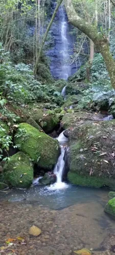 Vende-se Linda Área/Terreno Rural para Sitio/Chácara em Leoberto Leal-SC