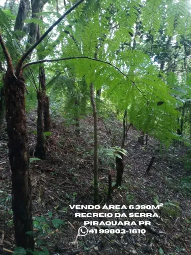 Compre seu terreno de 6.390 m² em Condomínio Fechado - Piraquara/PR