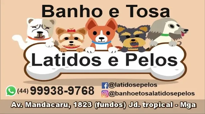 Banho e Tosa ?