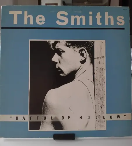Disco, LP, Vinil raros T. Smits, F. Abreu, Beatles, Garotos Rua, Engenheiros, Simon And G