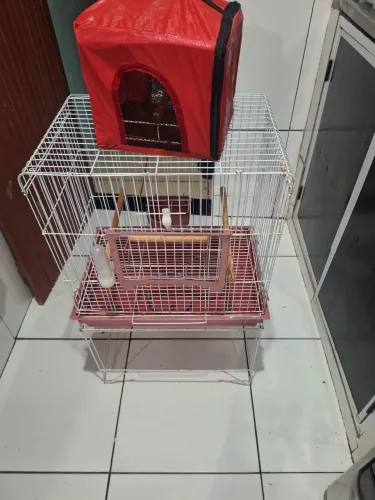 Gaiola para calopsita