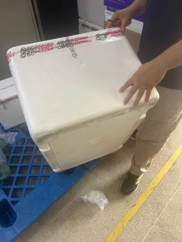 Caixas de isopor
