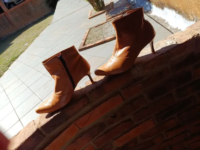 Bota