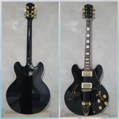 Guitarra semi acustica