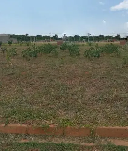 Chácara com 1 dormitório à venda, 2000 m² por R$ 250.000,00 - Centro (Padre Nóbrega) - Mar