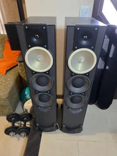 Paradigm Monitor 11 V6