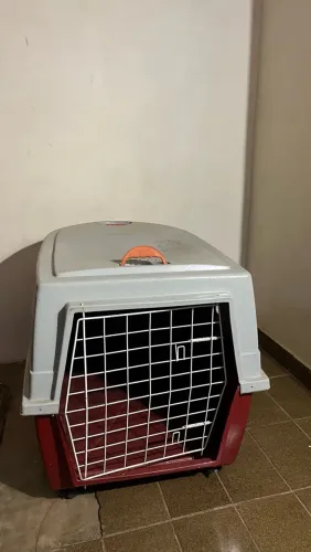 Caixa Transporte Cachorro Clicknew N5 Vermelha Com Rodinhas e Ventilação