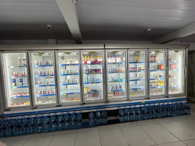 Freezer laticínios 
