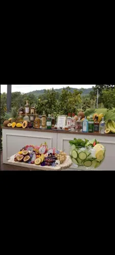 LADY'S BAR , BAR Girls PARA FESTAS E EVENTOS<br>