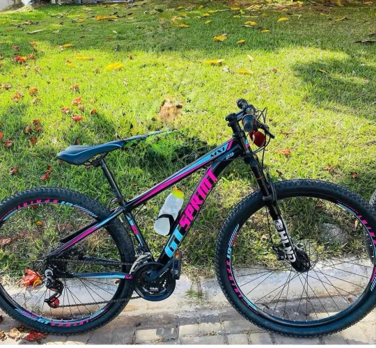 Bicicleta