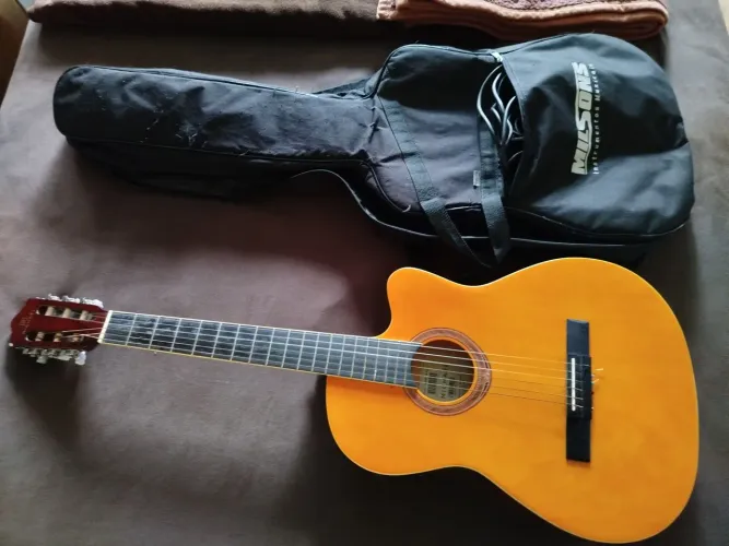 Vendo violão elétrico Michel + Case 
