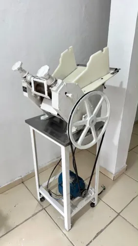Cilindro leão de 20cm