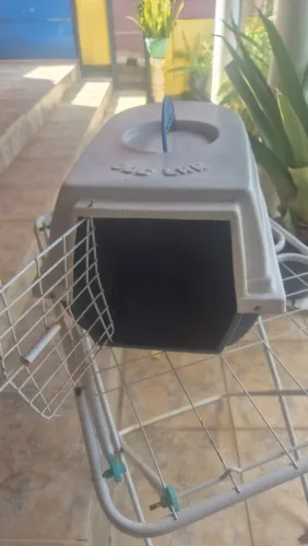 Caixa de transporte Dog Lar