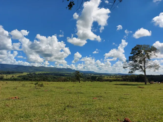 Gleba à Venda com 4,26 Alqueires às Margens do Rio Anicuns - Santa Bárbara de Goiás