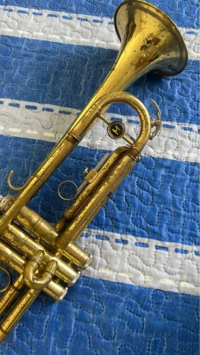 Trompete