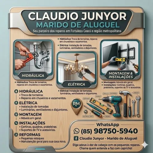 Marido de aluguel,