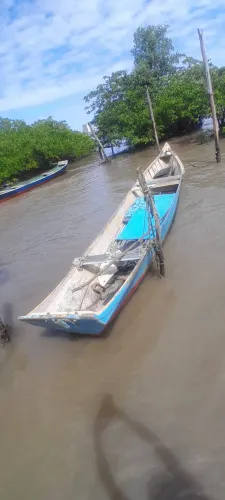 Barco apenas para vender, as madeira estão boas, apenas precisando de uma pintura