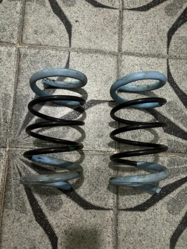 Molas esportivas