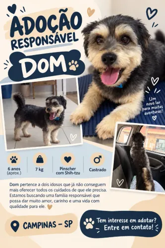 Adoção Responsável