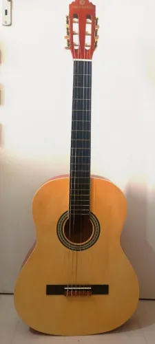 Vendo violão
