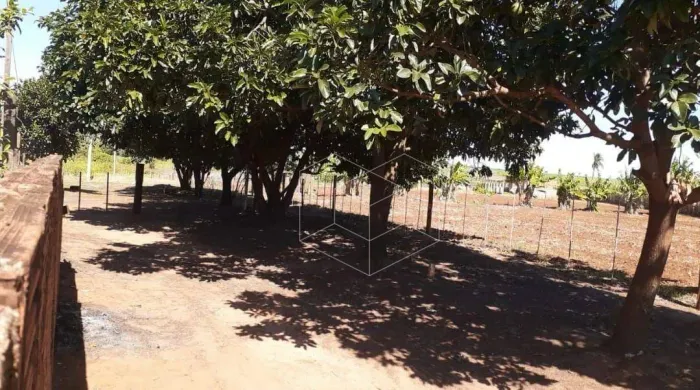 Chácara à venda 100 da rodovia Vila Ribeiro
