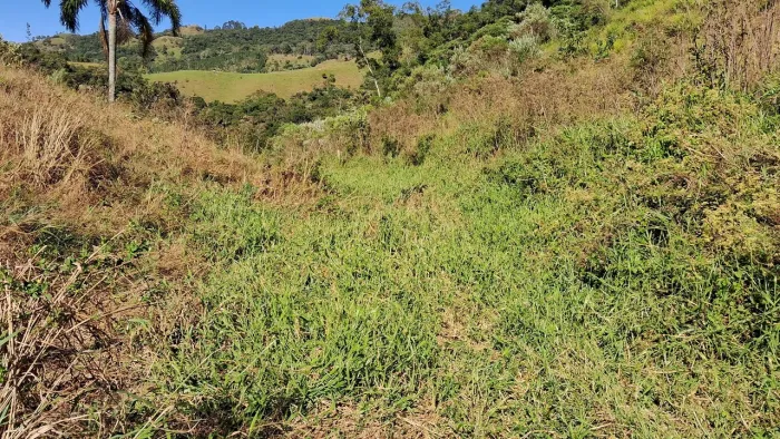Terrenos a partir R$55.000,00 o hectare em Anitápolis-SC 