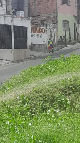 TERRENO MURADO