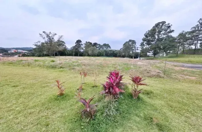 Terreno à venda no Bairro do Jardim Regina na Rua Castanha do Maranhão