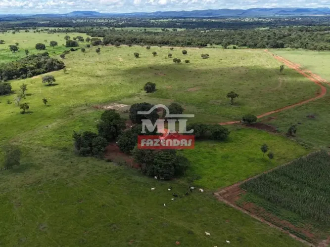 Fazenda 29,21 alqueires (141,37 hectares) Fazenda Nova - GO