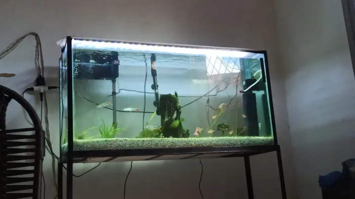 Aquário com estrutura metálica