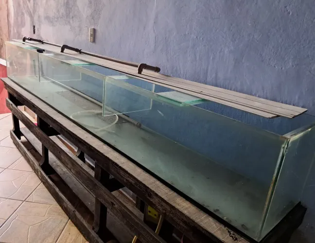 Aquário Gigante