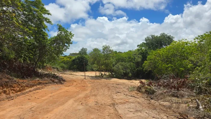 TERRENOS PLANOS em CURRALINHO