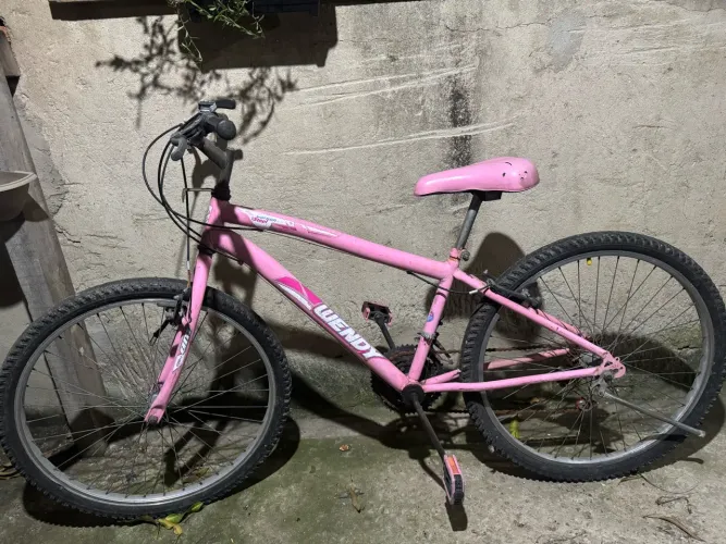 Bicicleta Aro 29