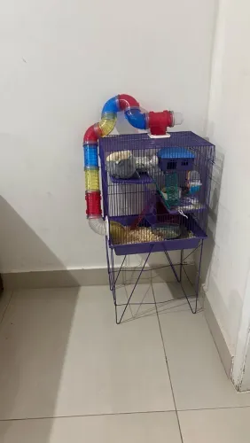 Gaiola Hamster
