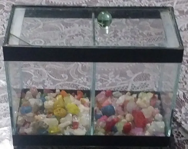 AQUÁRIO  PARA PEIXES BETA