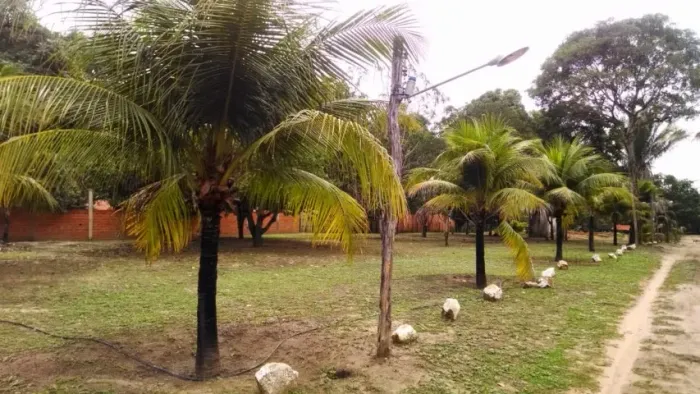 Vendo Sítio de 09hectares localizado na BR Timon - Caxias