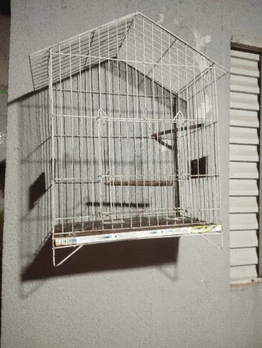 Gaiola de passarinho 