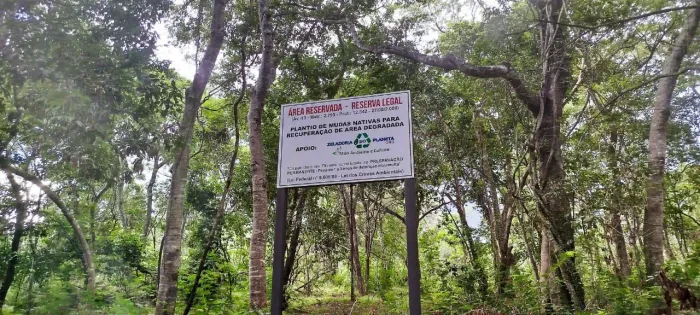 ÁREA 800HC COMPENSAÇÃO AMBIENTAL EM AUGUSTO DE LIMA 
