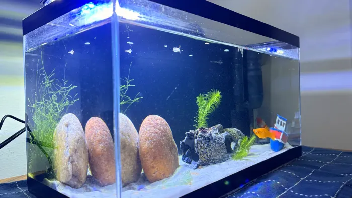 Aquário 20L