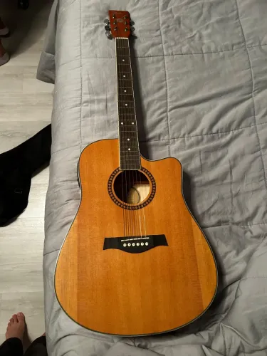 Violão Shelter Celtic Elétrico com Case incluso