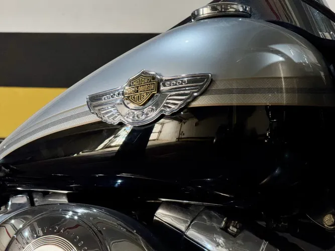 Harley-Davidson Softail Heritage Classic do Centenário, CARBURADA! Única no BR