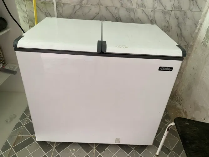 Freezer 2 portas esmaltec super conservada 