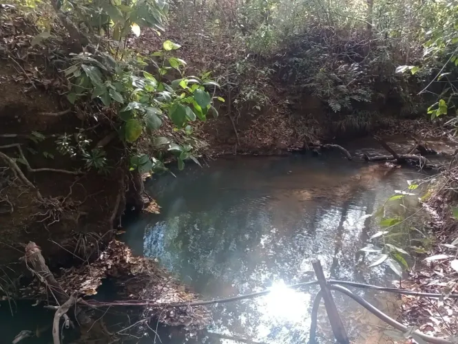 Chácara de 2 Hectares no Quintas do Maranhão / Próximo a CPRV / Rio nos Fundos