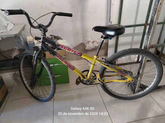 Bicicleta