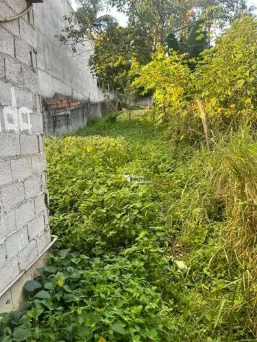 Terreno, 100 m² - venda por R$ 150.000 ou aluguel por R$ 2.800/mês - Jardim Noronha - São