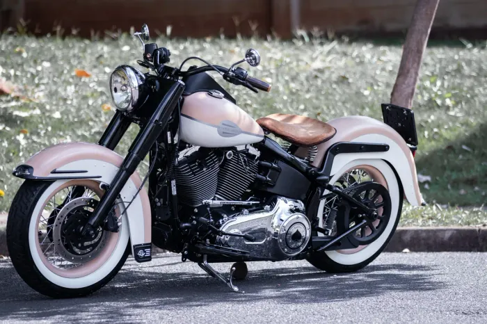 Vendo Harley Davidson Deluxe 2012