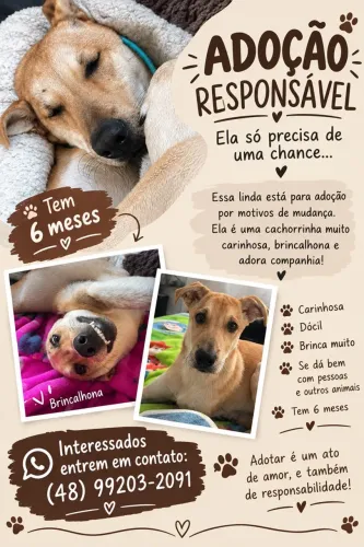 Doação responsável
