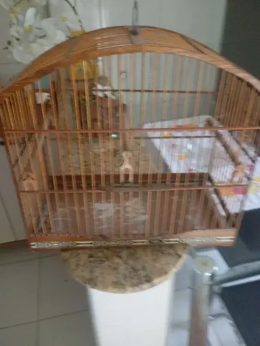 Gaiola para trinca