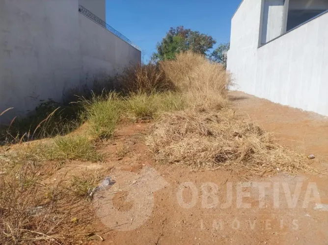 Terreno à venda, ALTO UMUARAMA - UBERLANDIA/MG