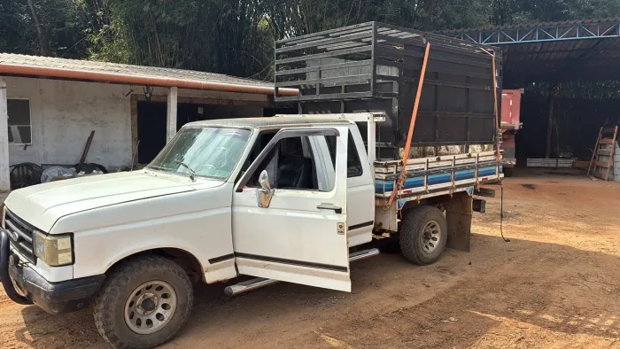 Ford F-1000 Super CE 4.9i / 3.6 1994